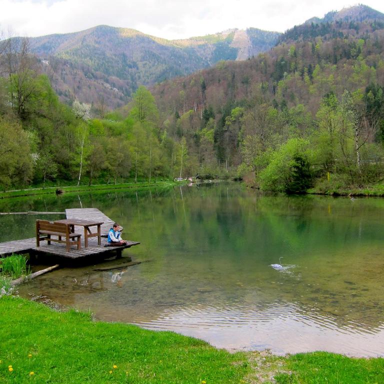 Príroda v okolí dovolenkového domu