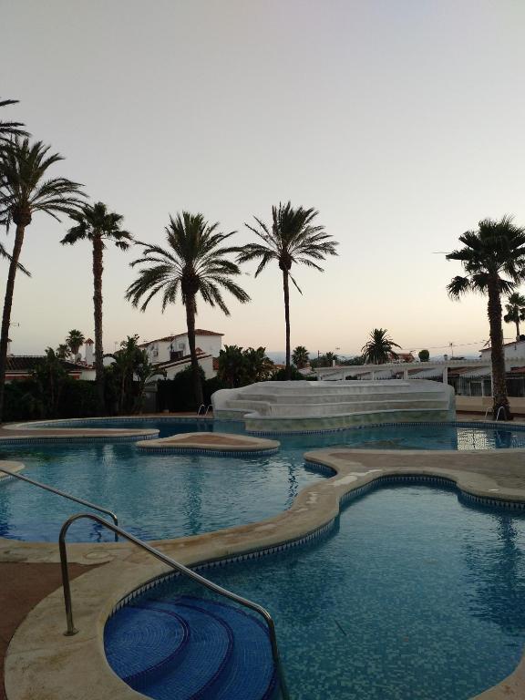 a large swimming pool with palm trees in the background at Apartamento Parchís con piscina in Denia