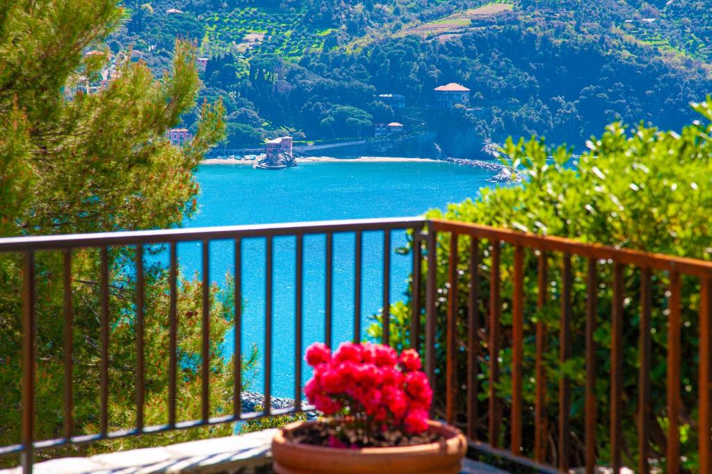 Paesaggio naturale nelle vicinanze dell'appartamento