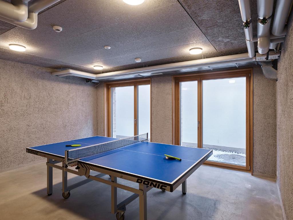 Stolní tenis v ubytování Schaan-Vaduz Youth Hostel nebo okolí
