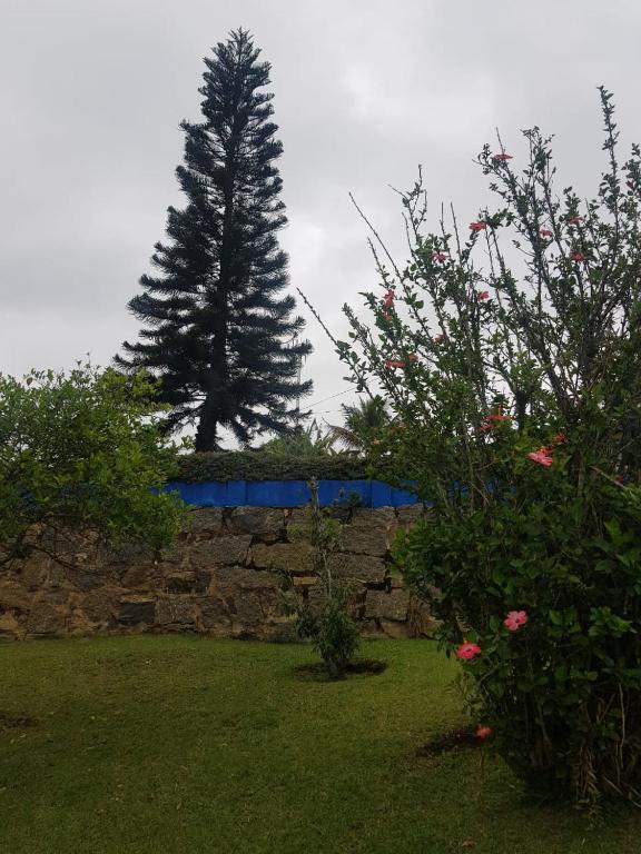  Pousada Barão do Javary