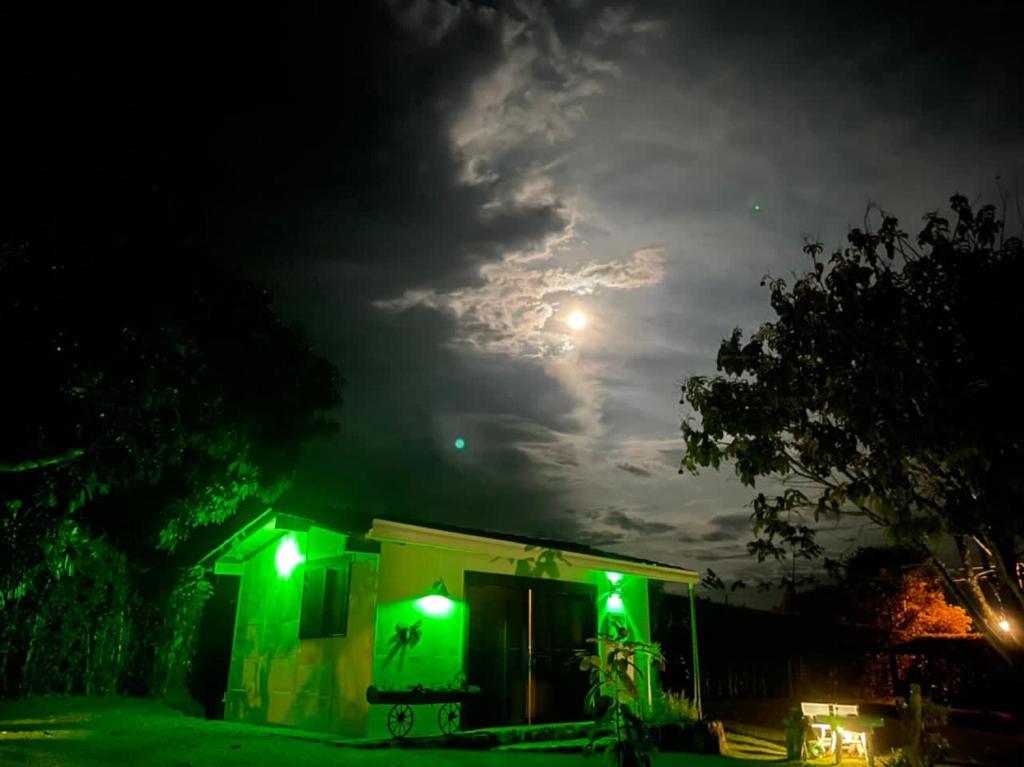 una casa con luces verdes encendidas por la noche en La Cabaña Encantada, en Támesis