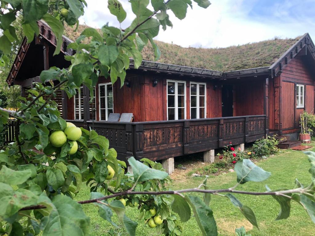 Zahrada ubytování Golden Seaside Villa