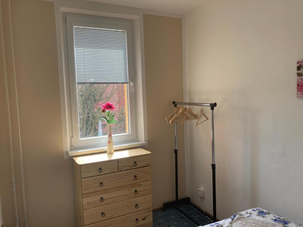 Fotografie z fotogalerie ubytování Apartmán ve Velkých Losinách ve Velkých Losinách