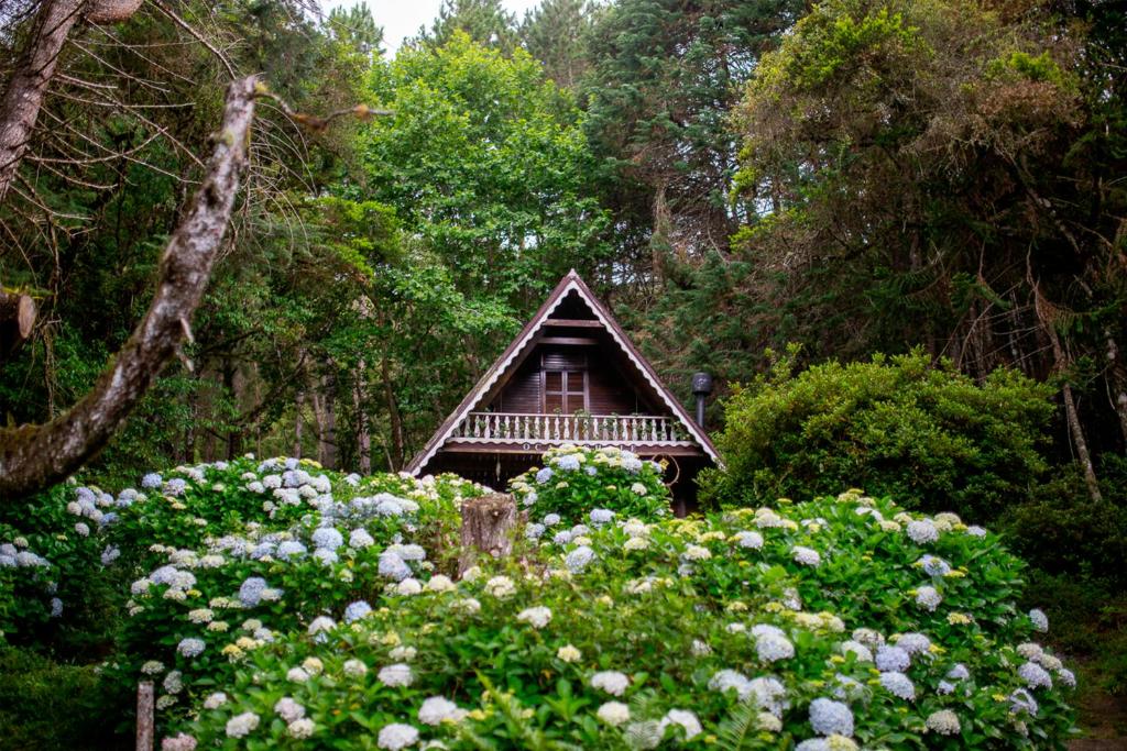a small house in the middle of a garden with flowers at Oca Chalé in Delfim Moreira