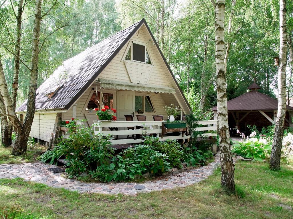 Domek w Brzozach في ساسينو: منزل صغير في وسط الغابة