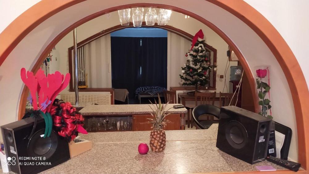 Wellness Želešice في Želešice: مطبخ مع صالة معيشة مع شجرة عيد الميلاد