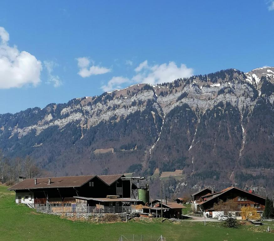 eine Gruppe von Häusern vor einem Berg in der Unterkunft Brunners harzerhof in Iseltwald