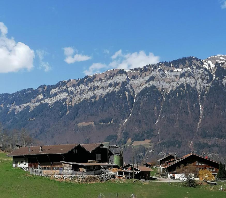 a group of houses in front of a mountain at Brunners harzerhof in Iseltwald