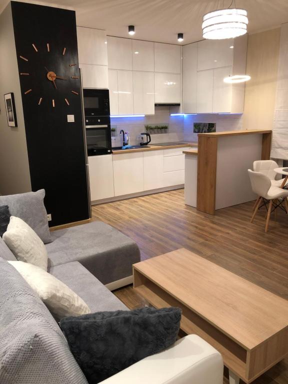 salon z kanapą i kuchnią w obiekcie Gdansk Apartament Harmonia Oliwska w Gdańsku