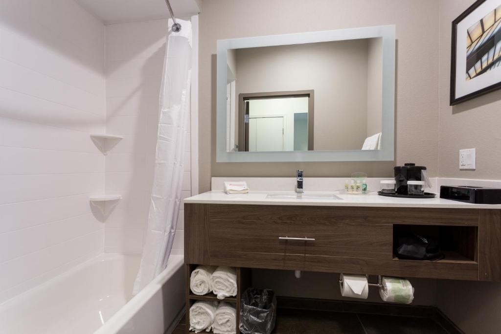 Holiday Inn San Marcos Convention Center by IHG photo