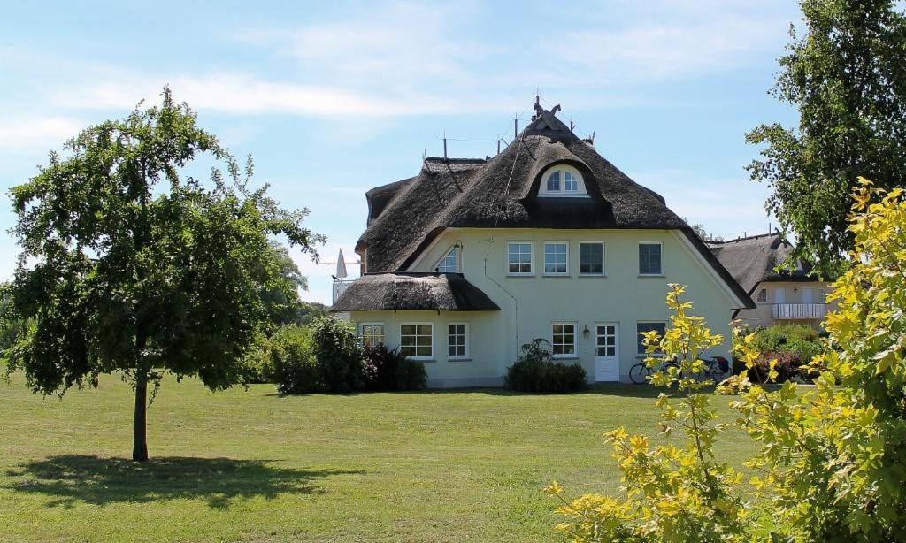 Zahrada ubytování Am Paetowhof 3 4