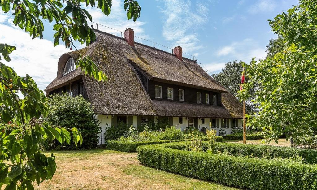 a house with a thatched roof with a garden at Hof Zeesenblick 03 in Wustrow