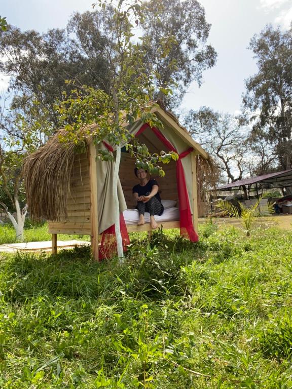 Zahrada ubytování Bodrum Masali Camping