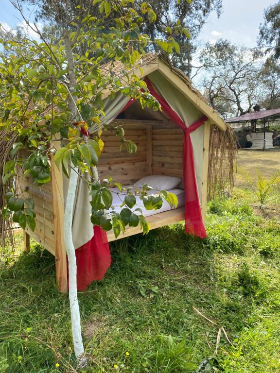 Zahrada ubytování Bodrum Masali Camping