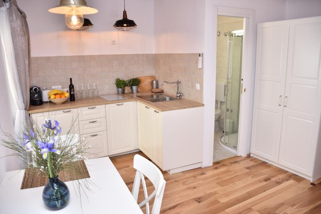 Kuchyň nebo kuchyňský kout v ubytování Bruno Old town apartments