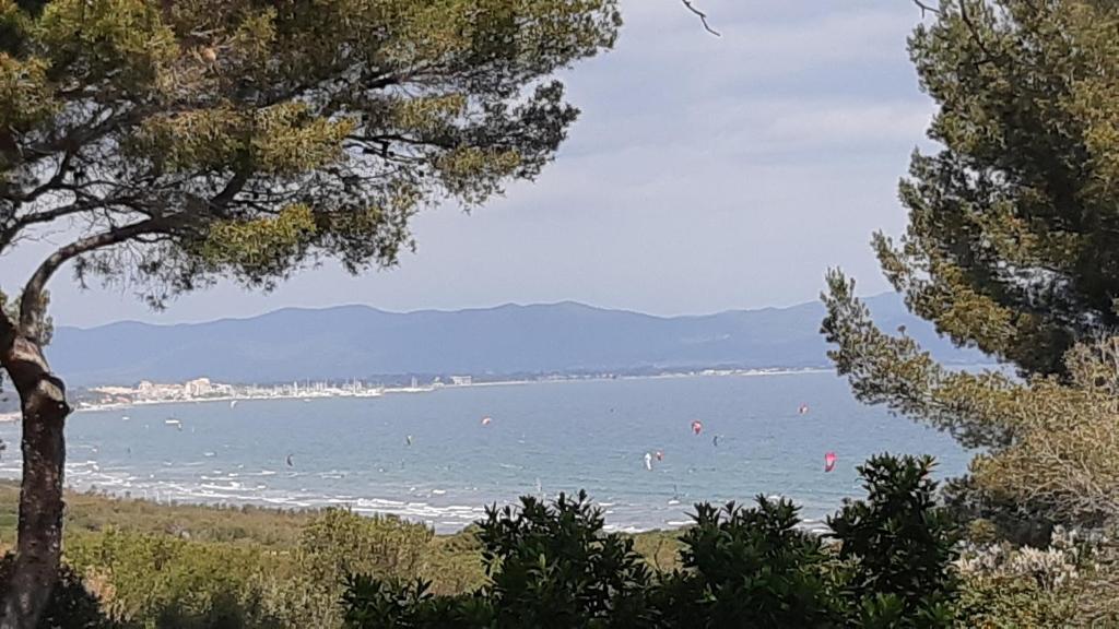 uma vista para uma praia com pessoas na água em BASTIDE PRESQU ILE DE GIENS SUPERBE VUE MER PISCINE em Hyères