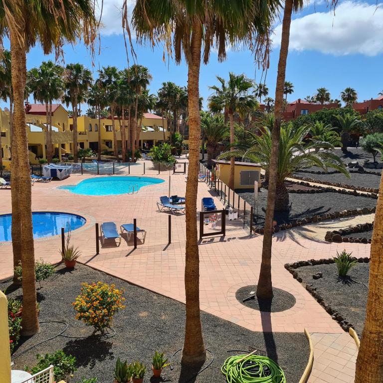 Oasis Royal F320, Corralejo (updated prices 2024)