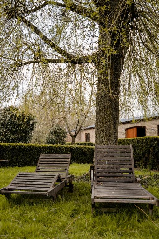 Zahrada ubytování Villa Ghysbrecht