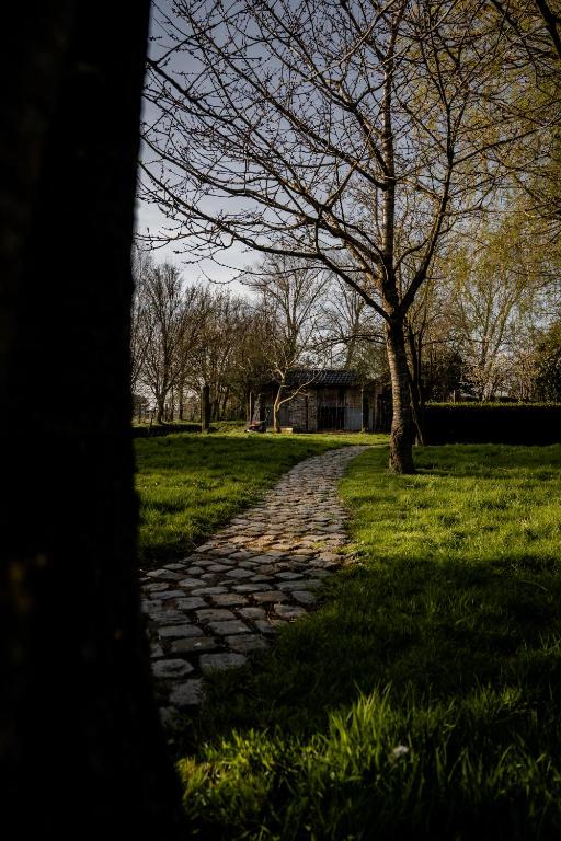 Zahrada ubytování Villa Ghysbrecht