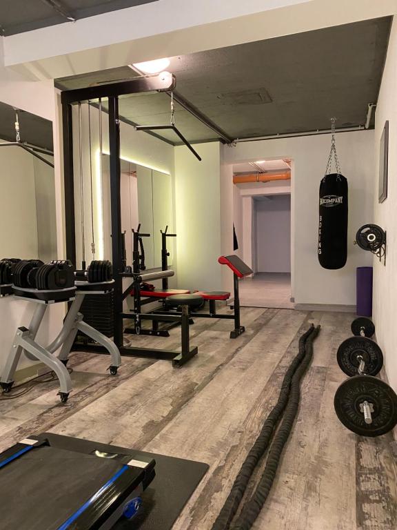 Fitness centrum a/nebo fitness zařízení v ubytování Alter Kornspeicher