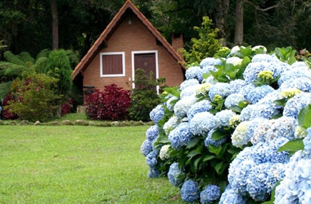  Chalés Fazenda das Samambaias