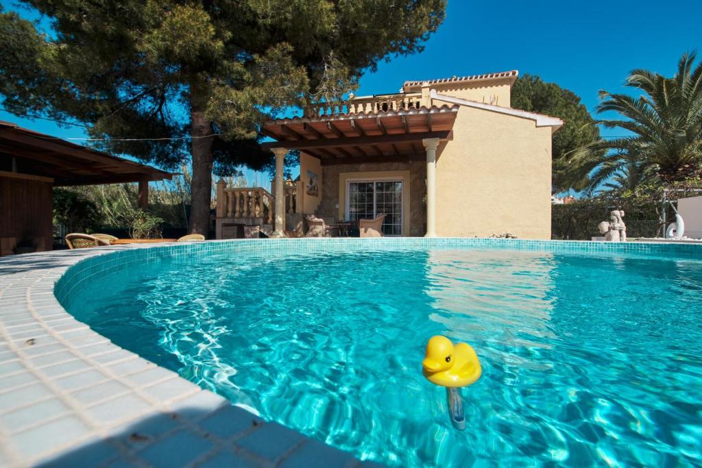 a yellow rubber duck in the water in a swimming pool at Villa Eliza in Denia