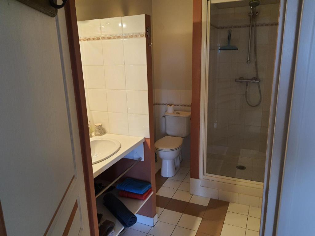 a bathroom with a toilet and a sink and a shower at L'En Haut des Vignes in Mérignac