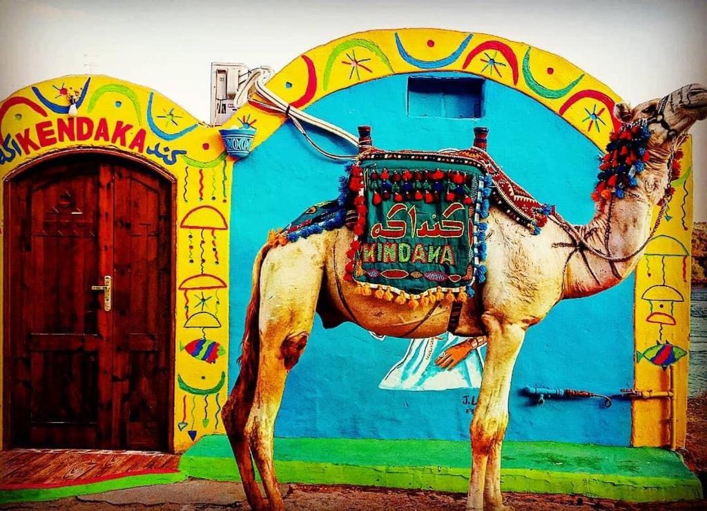 Kendaka Nubian House - 11