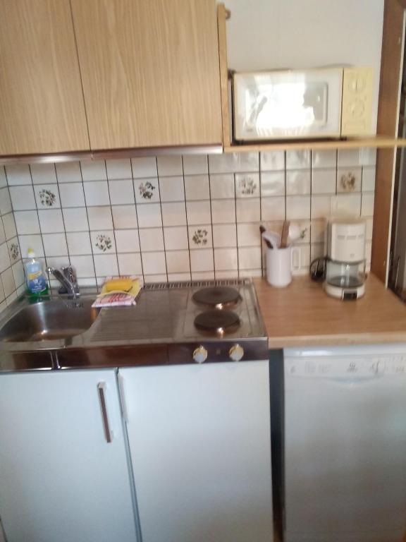 a kitchen with a sink and a stove top oven at Appartements direkt am See in Grundlsee