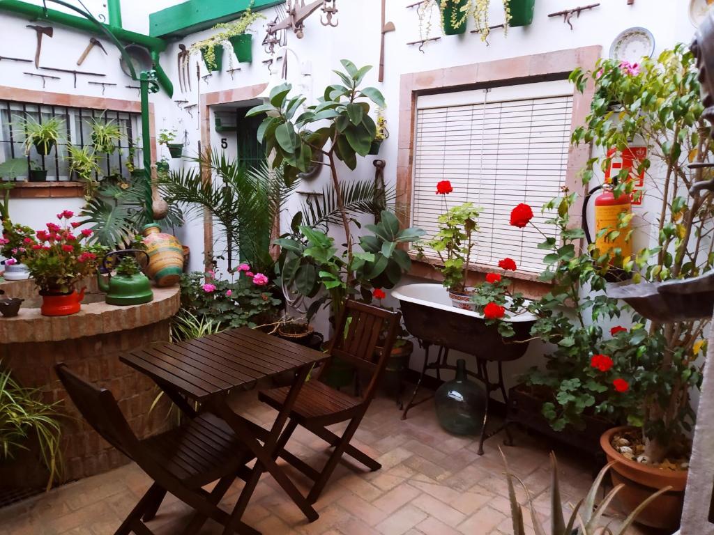 Zahrada ubytování Casa Museo Jerez Centro