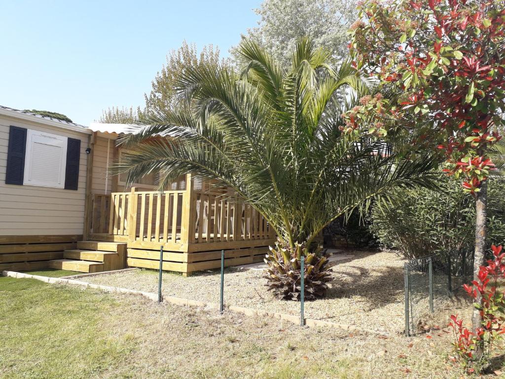 弗雷瑞斯的住宿－mobil home neuf 2 chambres 6 personnes Saint Aygulf plage，房子旁的院子中的棕榈树