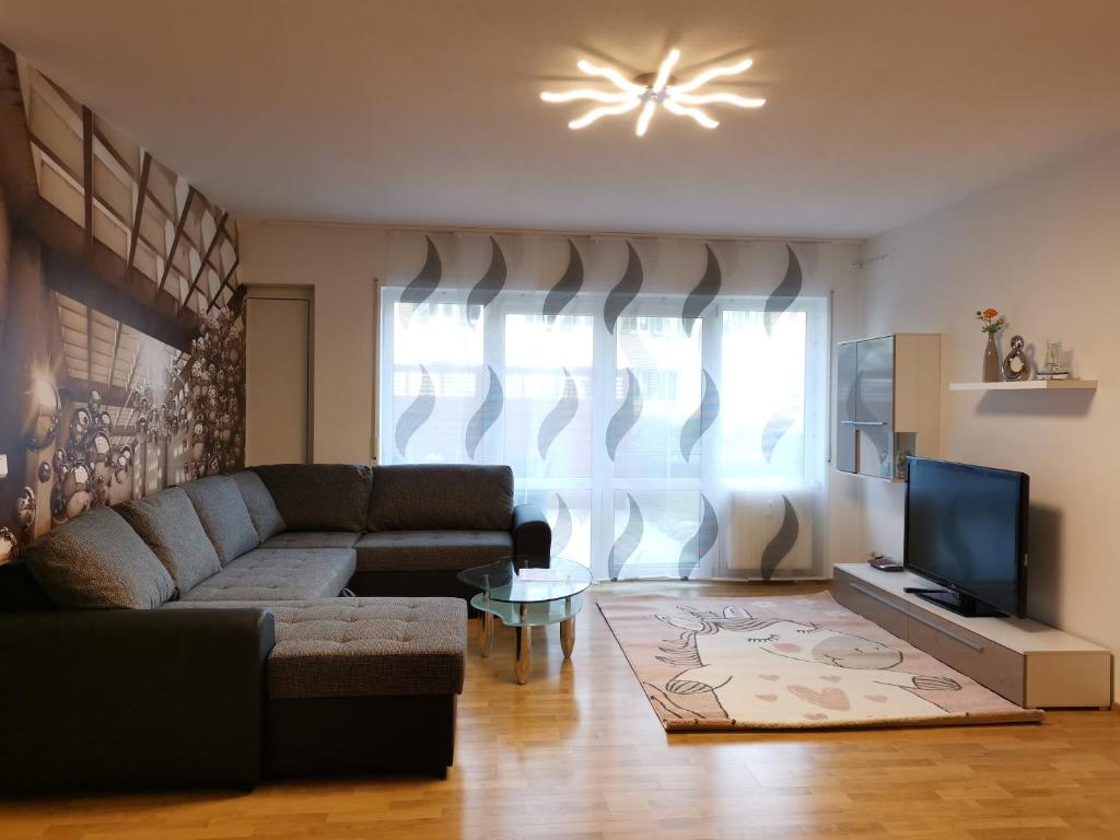 ein Wohnzimmer mit einem Sofa und einem TV in der Unterkunft Gute Laune in Friedrichshafen