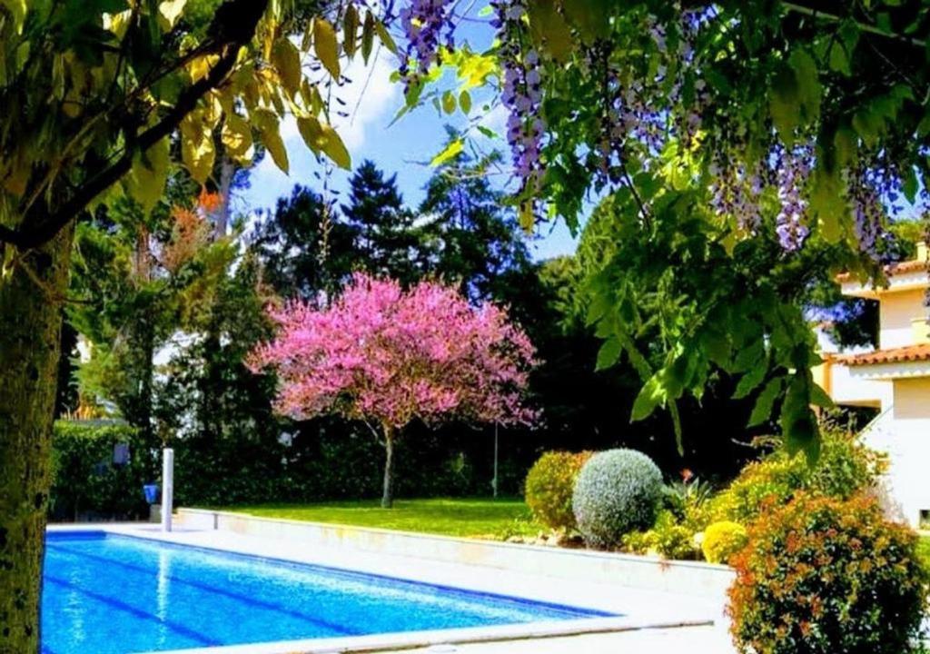 una piscina en un patio con árboles y flores en Apartamentos Stil Mar Anna - Stil Mar Anna L'Escala 4, en L'Escala