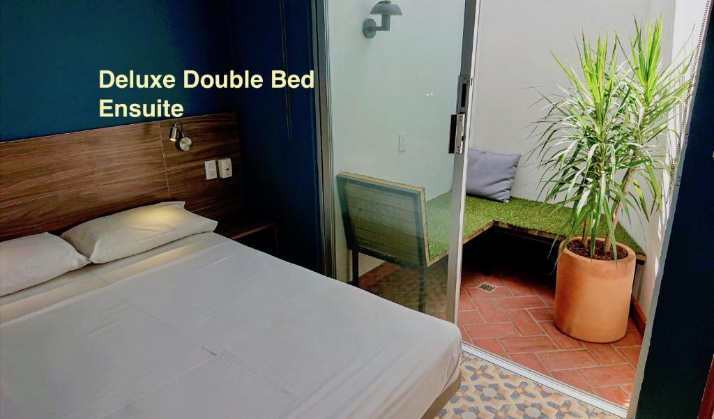 Casa Angel Hostel - Habitación Doble Deluxe