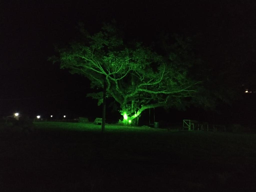  Pousada Figueira do Rio do Boi Chalé Jade