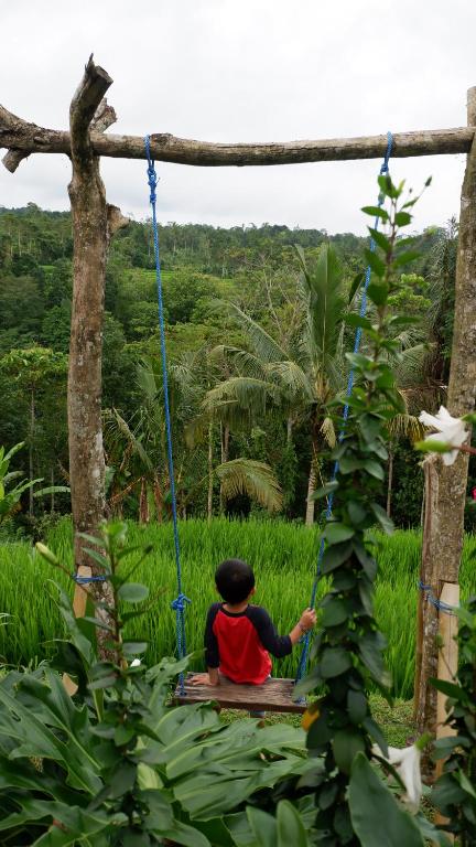 Zahrada ubytování Padi Bali Jatiluwih