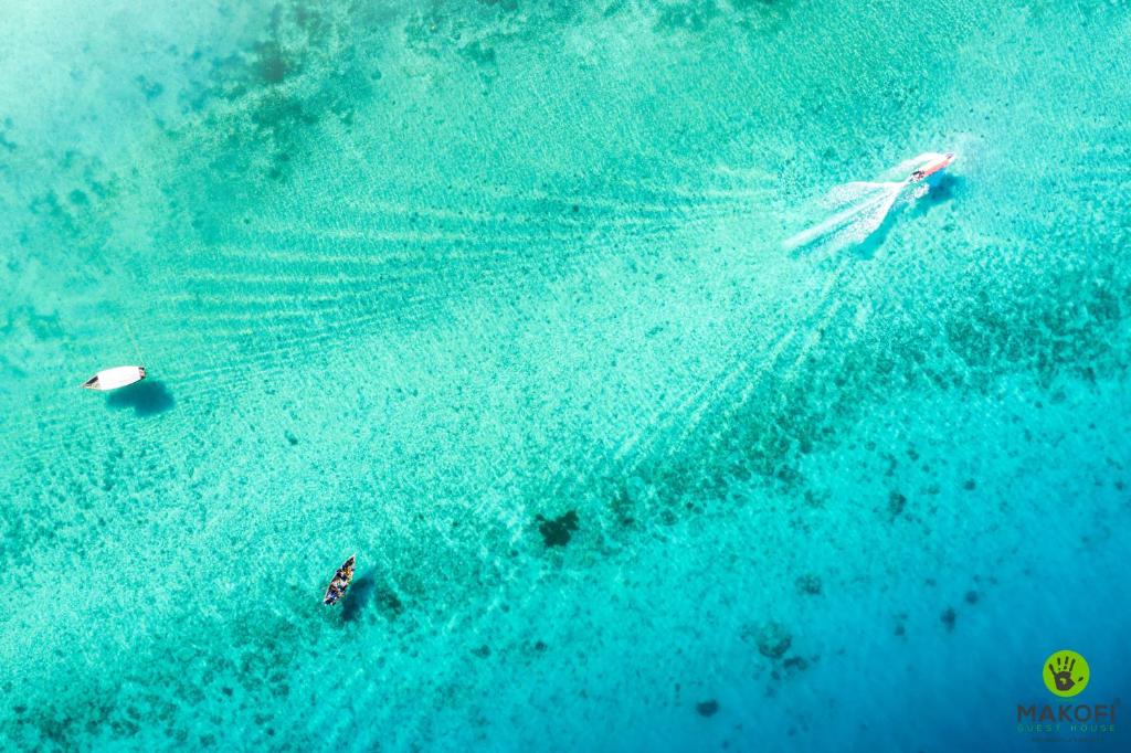 an aerial view of two people in the ocean at Makofi Guest House in Nungwi