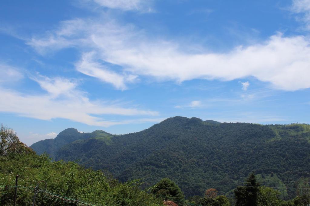 auliculiculiculiculiculiculiculiculiculiculiculiculiculiculic at Hidden Heaven in Coonoor