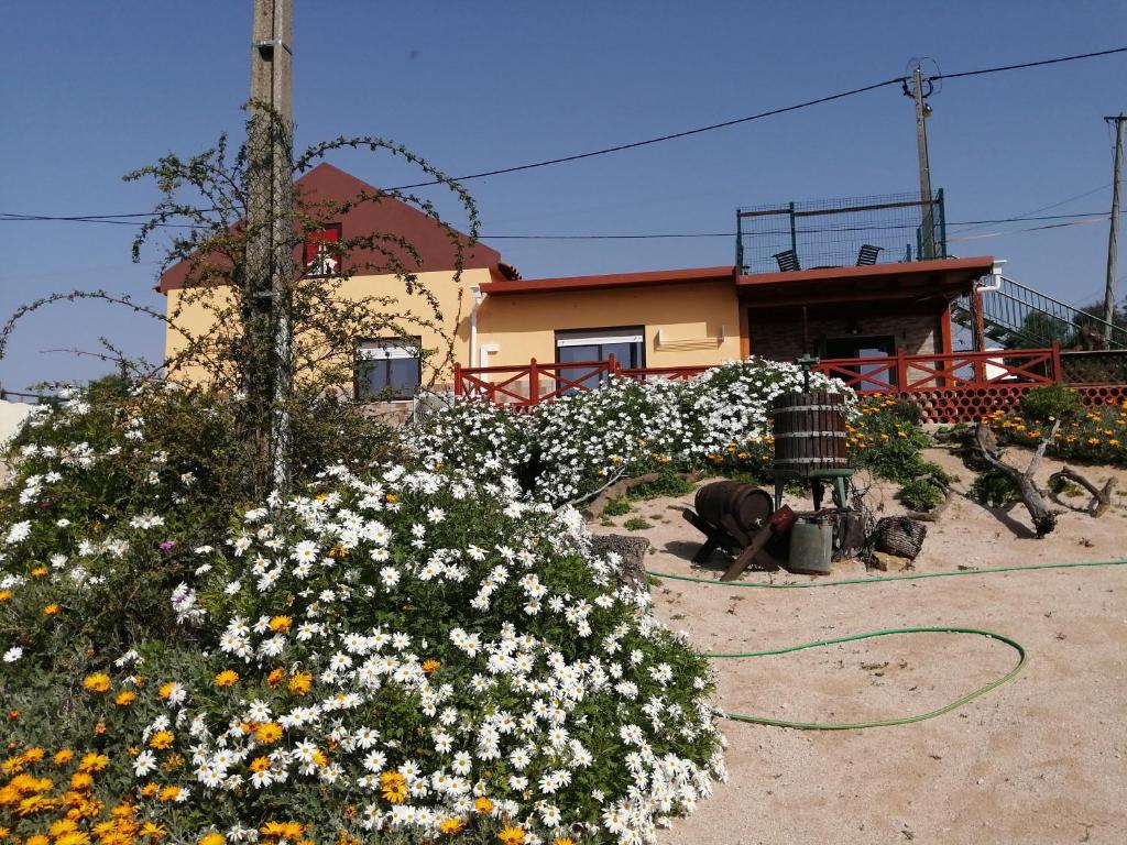 einen Garten mit Blumen vor einem Haus in der Unterkunft Varandas da Serra II in Vila Franca de Xira