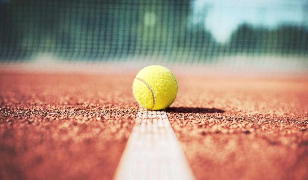 Tenis a/nebo squash v ubytování Hotel Hennemann nebo okolí