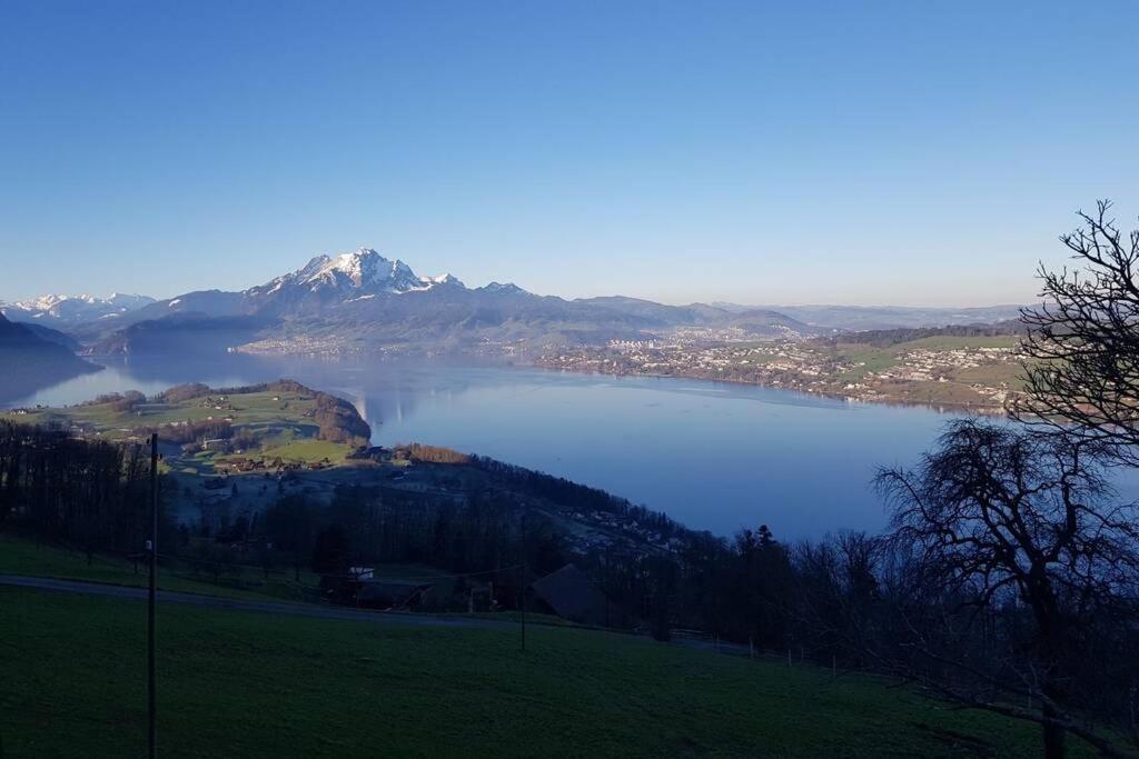 a view of a lake with a mountain in the background at Bauernhaus mit Charme, Traumaussicht und Sauna in Weggis