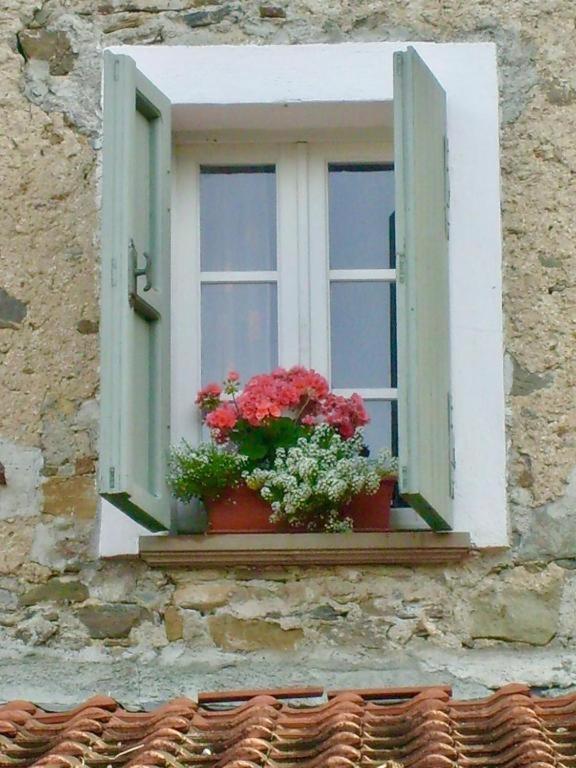 Zdjęcie z galerii obiektu Gli Ulivi Bed & breakfast w mieście Fosdinovo