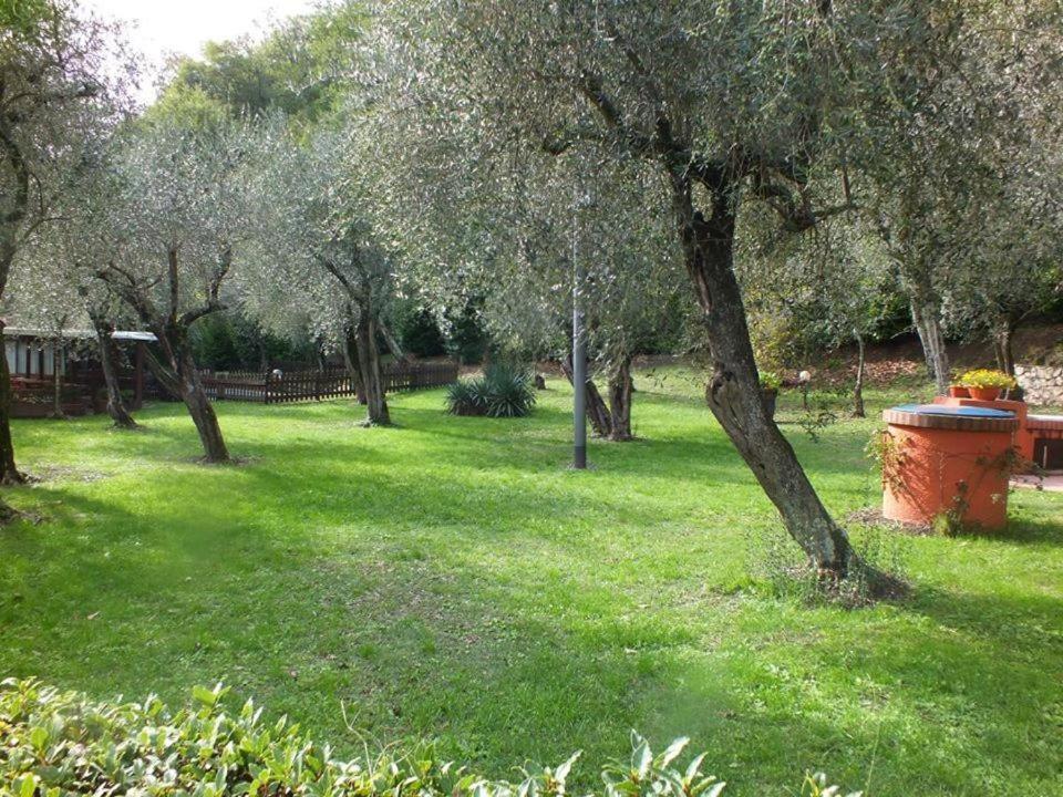 Ogród w obiekcie Gli Ulivi Bed & breakfast