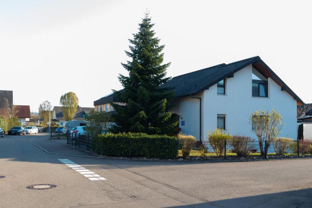 una casa bianca con un pino accanto a una strada di Ferienwohnung Angelika a Degerfelden