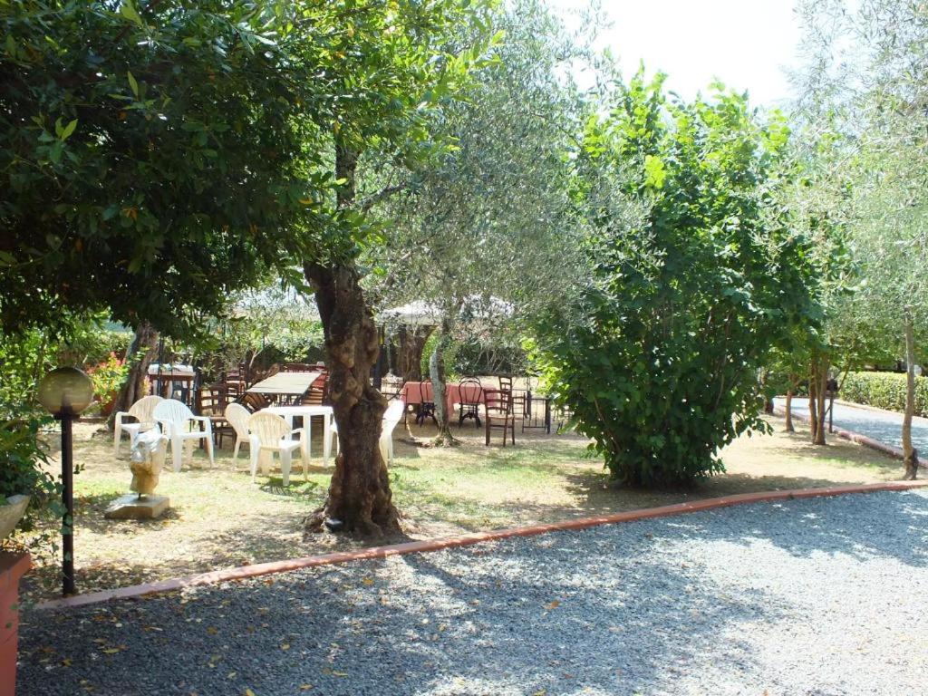 Ogród w obiekcie Gli Ulivi Bed & breakfast