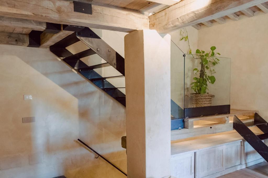 Piazza San Donato Casa Vacanze - 19