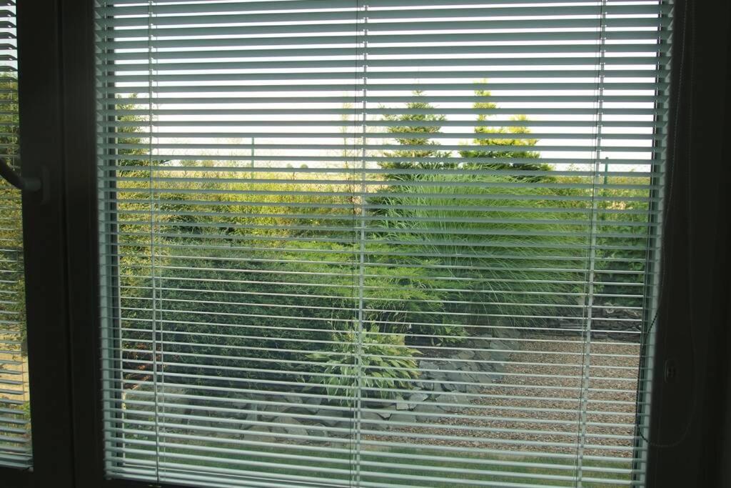 Fotografie z fotogalerie ubytování Příjemný apartmán Křoví v rodinném domku se sdíleným bazénem, terasou a zahradou v destinaci Křoví