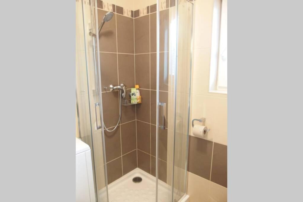 Koupelna v ubytování Příjemný apartmán Křoví v rodinném domku se sdíleným bazénem, terasou a zahradou