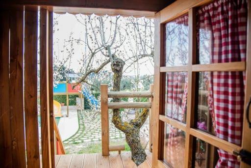 Ogród w obiekcie Trulli